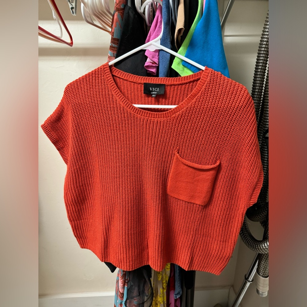 Vici crop sweater top